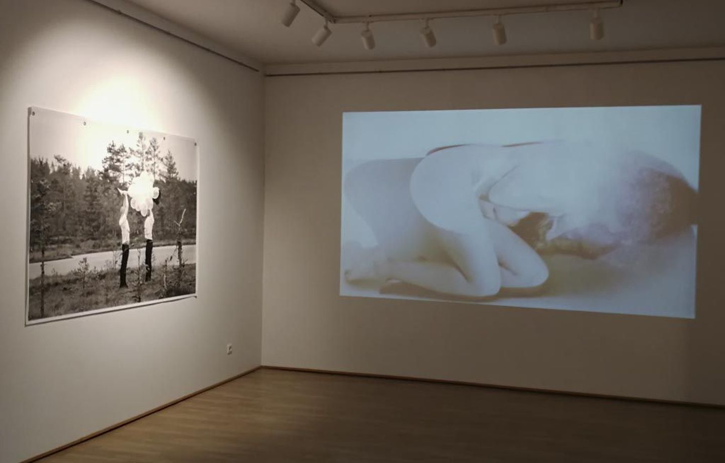 Mehhiko kunstniku Niña Yharedi näitusel „Via Baltic“ näidatakse performance’i fotojäädvustusi ning videoinstallatsiooni.