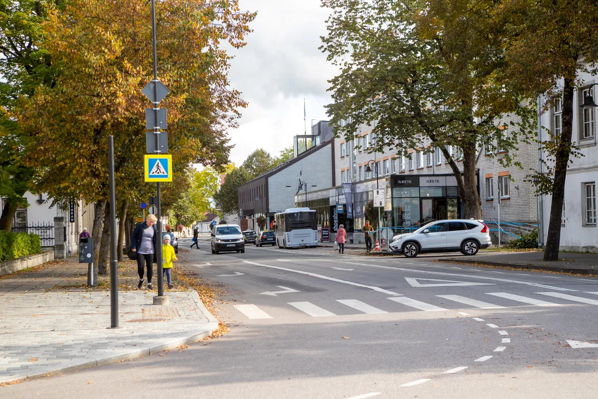 Tallinna tänava puud