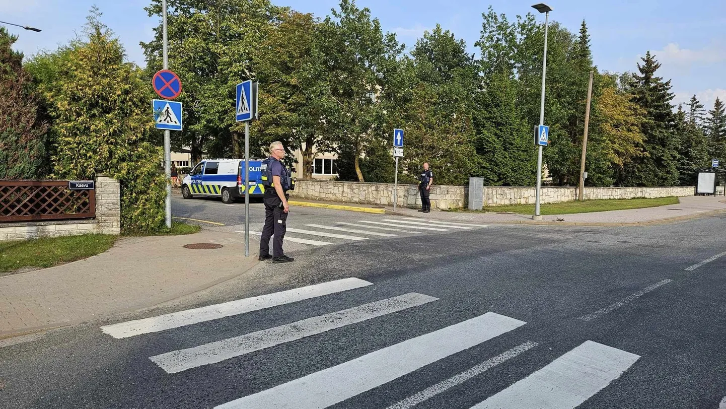 Artikli foto