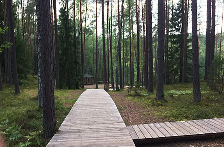 Raksta foto