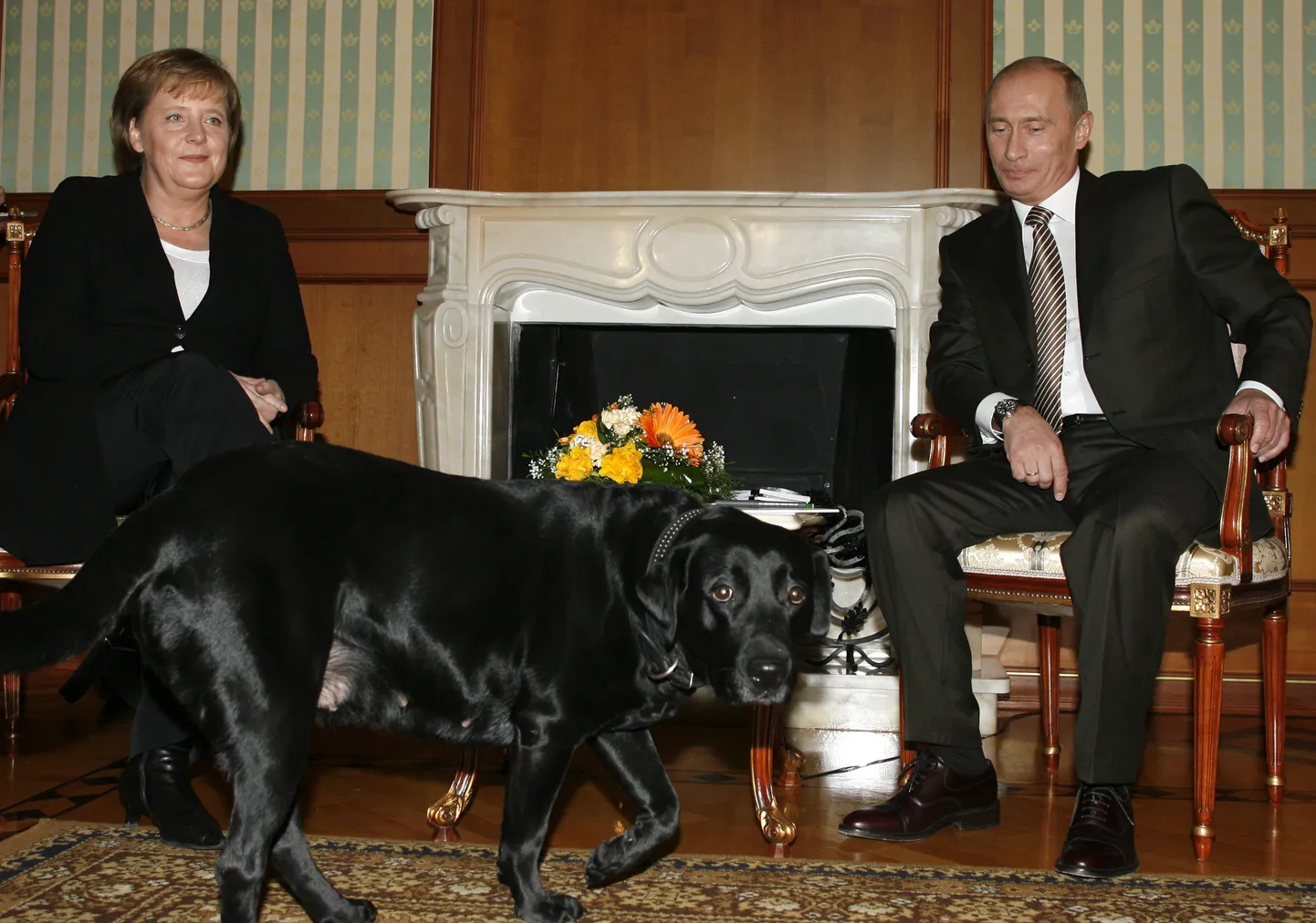 Saksamaa kantsler Angela Merkel ja Venemaa president Vladimir Putin kohtusid 21. jaanuaril 2007 Venemaal Sotšis Putini residentsis. Esiplaanil Putini koer. Väidetavalt tõi Putin oma koera kohtumisel kaasa, kuna Merkel teadaolevalt kartis koeri ja Putin pani Saksa kantsleri proovile