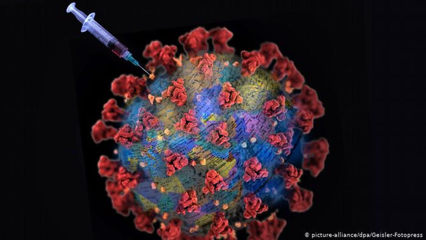 Во многих странах мира ученые работают над созданием вакцины от коронавируса