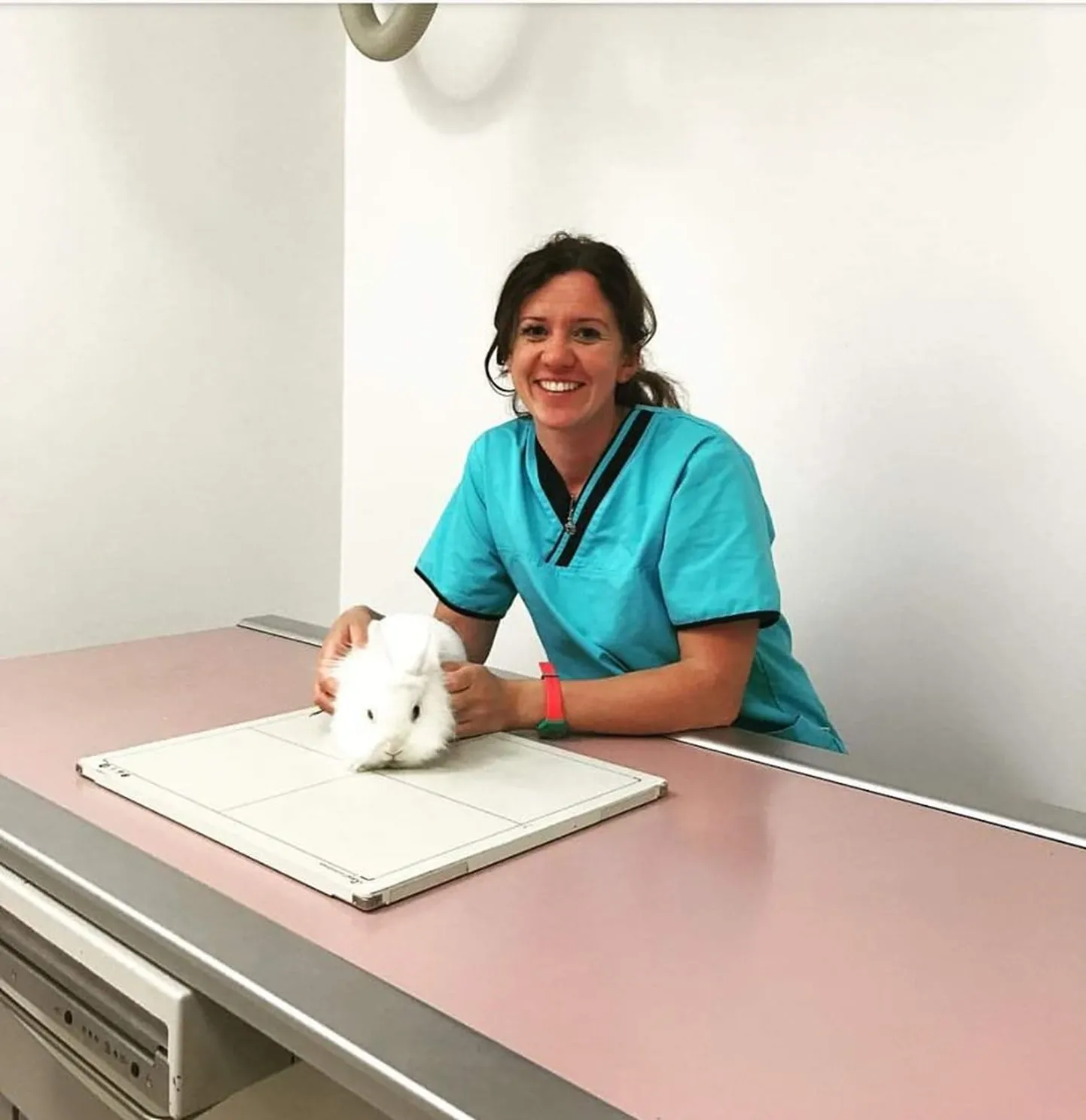 Veterinaar Maria Daubaraite tööpostil.