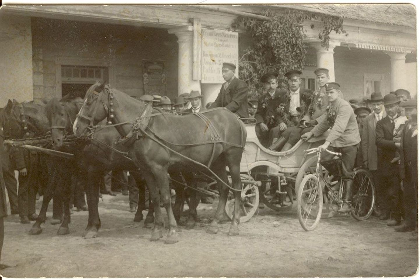 Rindele minejad Koerus 1914. aasta suvel.