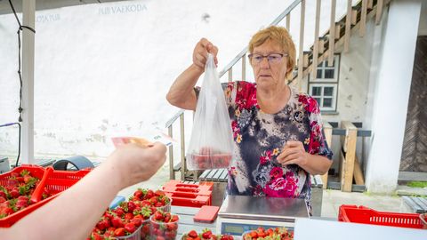 JUBA VALMIS! ⟩ Kuressaare turul esimesed kohalikud maasikad letil
