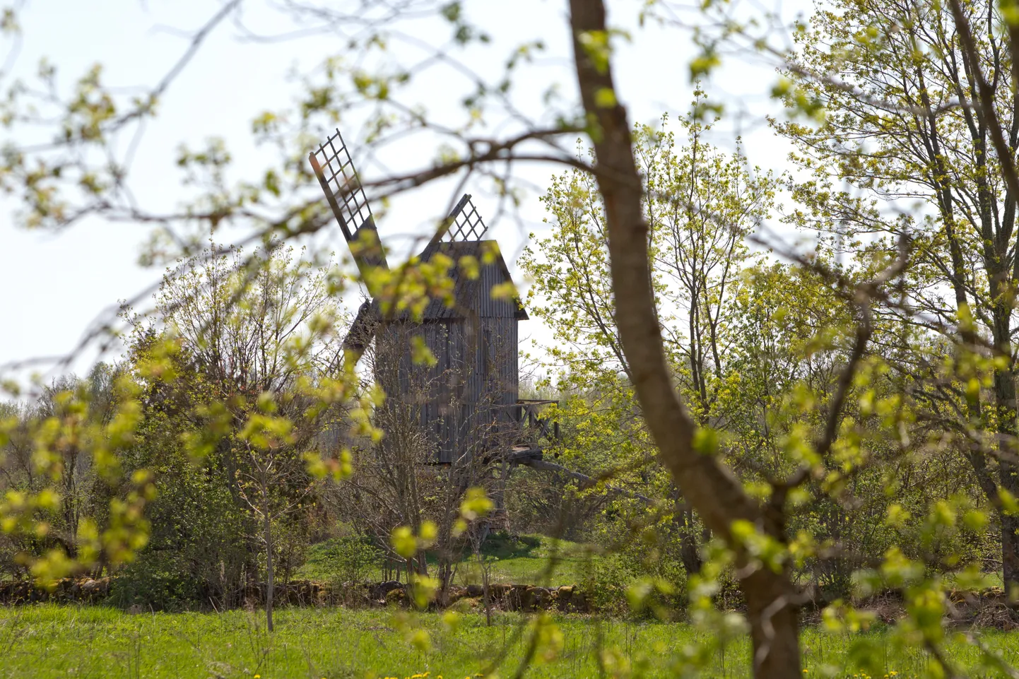 Koguva, Muhumaa