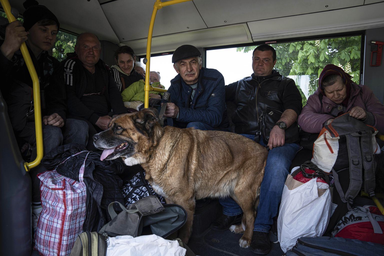 Эвакуационный автобус в Украине. Снимок иллюстративный.