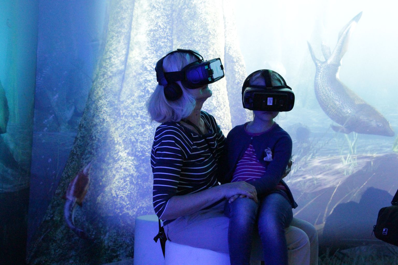Eesti Loodusmuuseumi näituse «Müstiline ürgmeri» külastajad saavad nüüdsest seigelda ürgmeres ka virtuaalreaalsuse vahendusel.