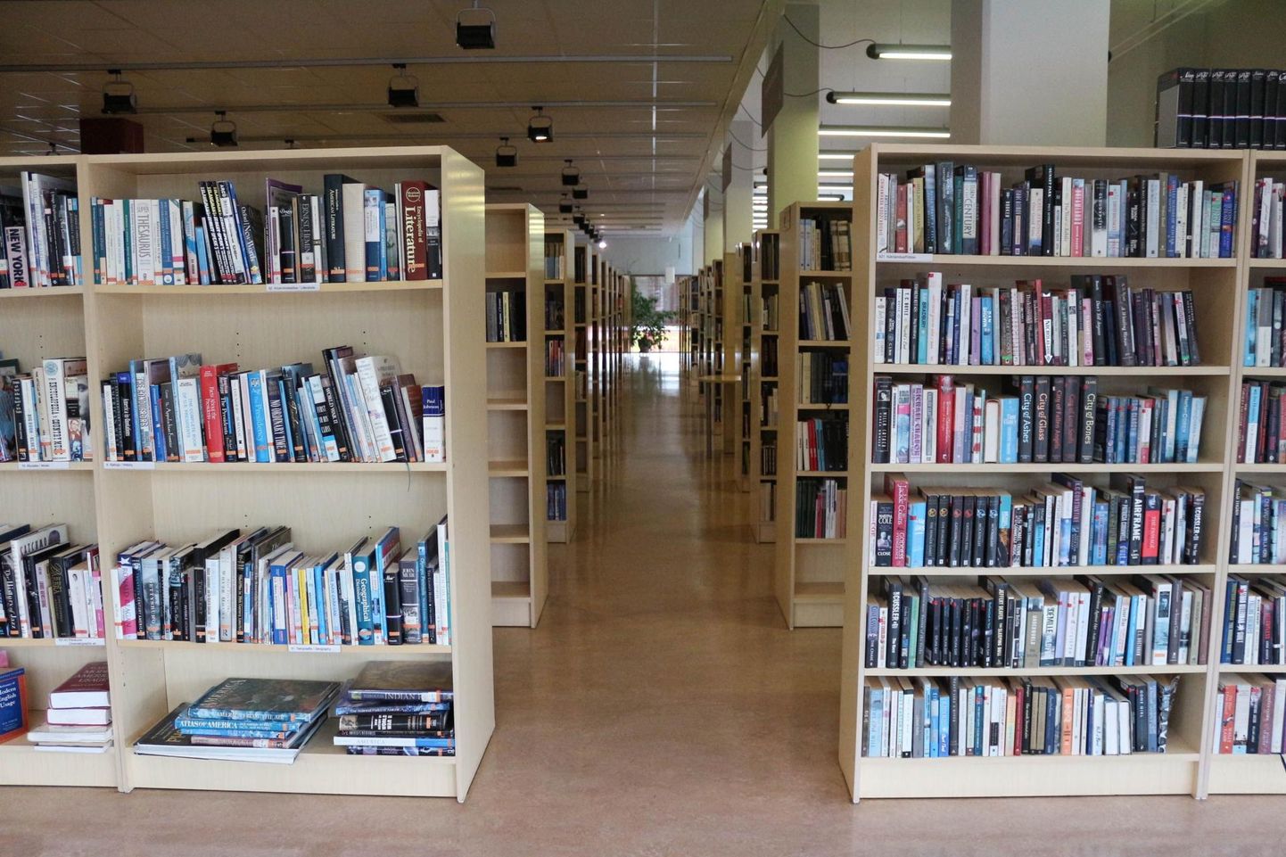 Viljandi linnaraamatukogu statistika näitab, et inimesed on hakanud rohkem raamatuid lugema.