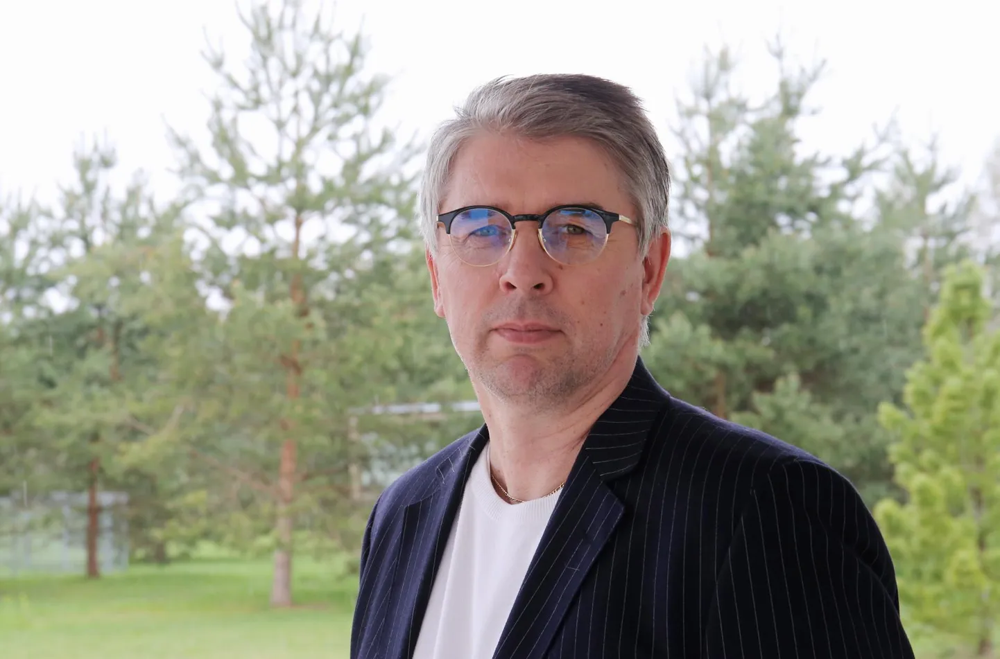 Jaanus Kriisk, kolumnist