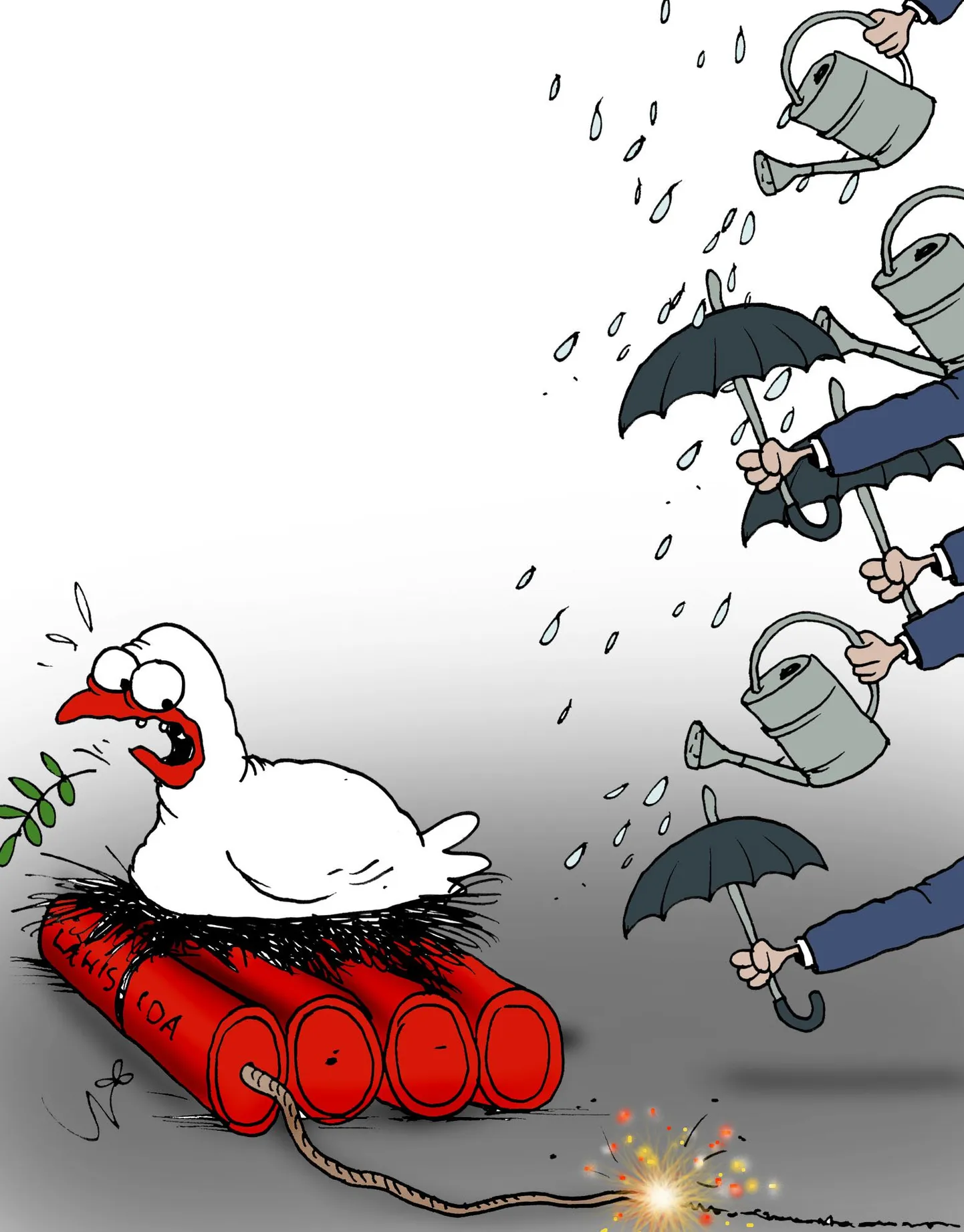 Artikli foto