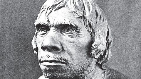 New Neanderthal DNA Study Reveals Surprising Insights into Their Extinction