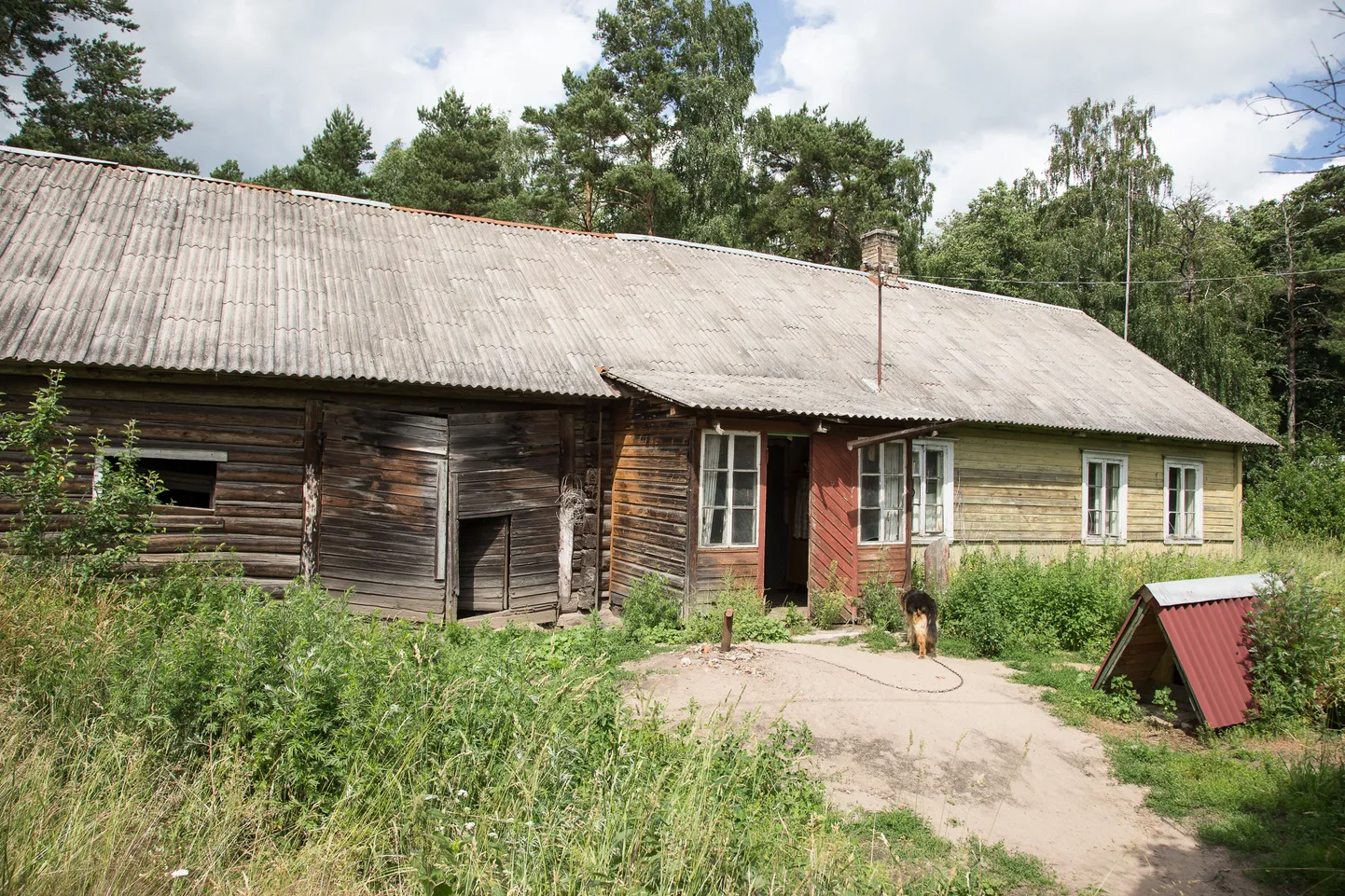 Riik toetab maale elamaasujaid laenu võtmisel.