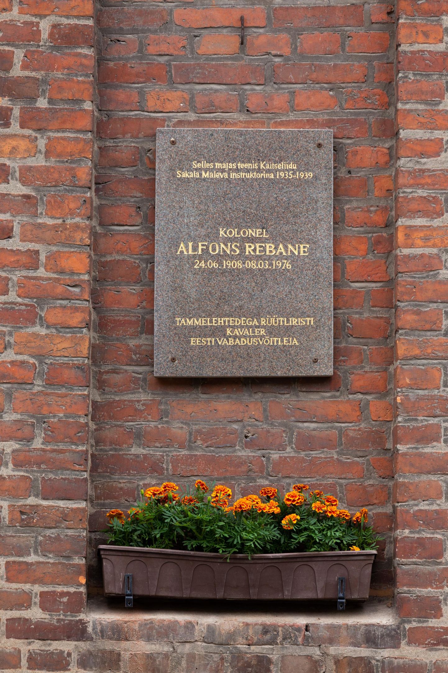 Alfons Rebasele on mälestustahvel ka Viljandi muusikakooli seinal Jakobsoni tänaval. Selles majas teenis ta aastatel 1935–1939 Kaitseliidu Sakala maleva instruktorina.