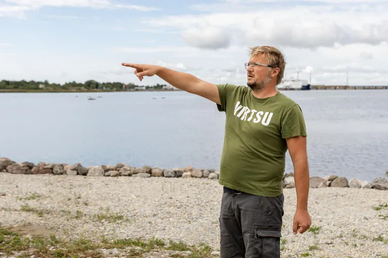 Henrik Raave, Werderholmi arendusjuht
