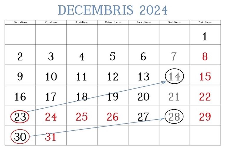 Рабочий график на декабрь 2024 года. Декабрь 2024. Календарь декабрь 2024. Рабочие дни в декабре 2024. Календарь на декабрь 2024 года