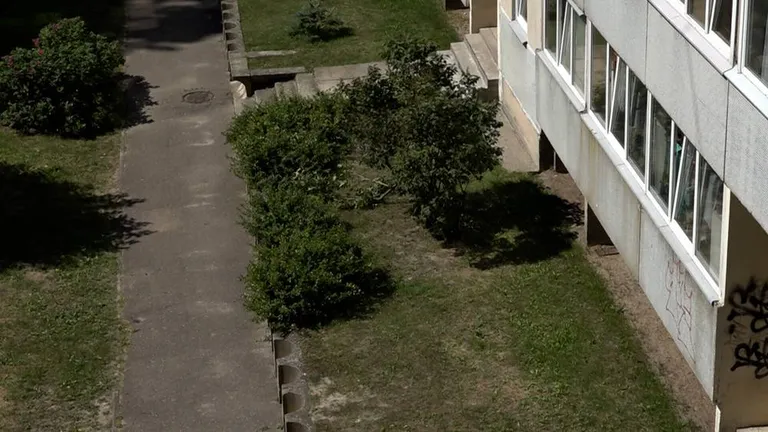 Raksta foto