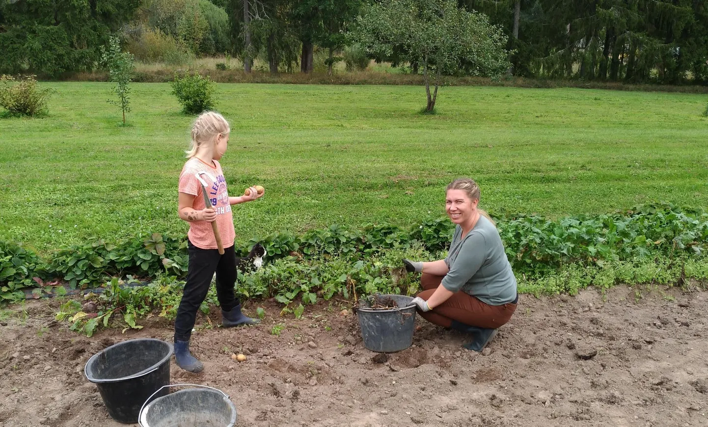 Mulgimaa peremängul saab käe külge panna mitmesugustes talutöödes.