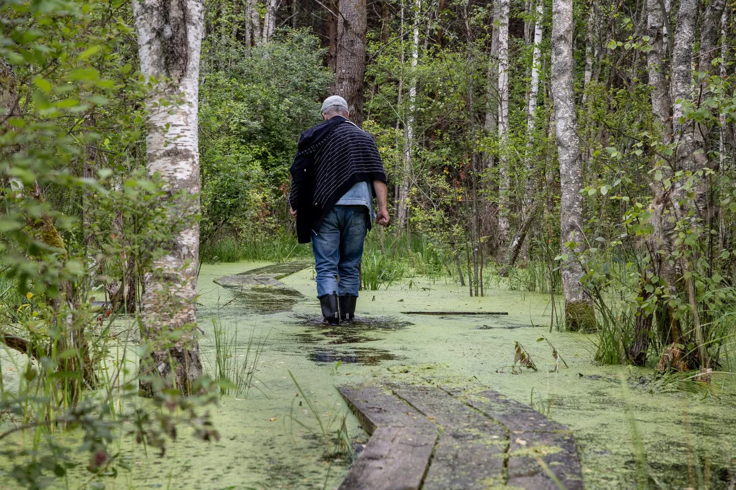 Ajakirjanik laudteel. Sellest kohast tuli tagasi pöörduda, sest vee all olev laudtee oli väga libe ja kõikus üsna tugevalt.