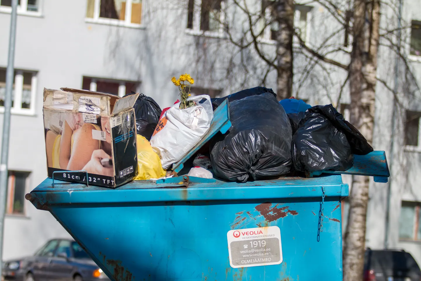 Prügi




Foto: Arvo Meeks / Lõuna-Eesti Postimees