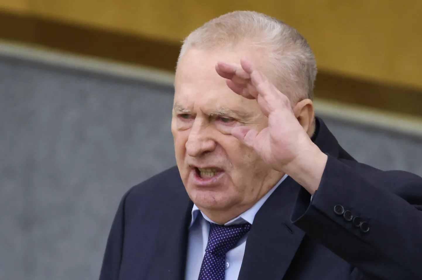 Владимир Жириновский