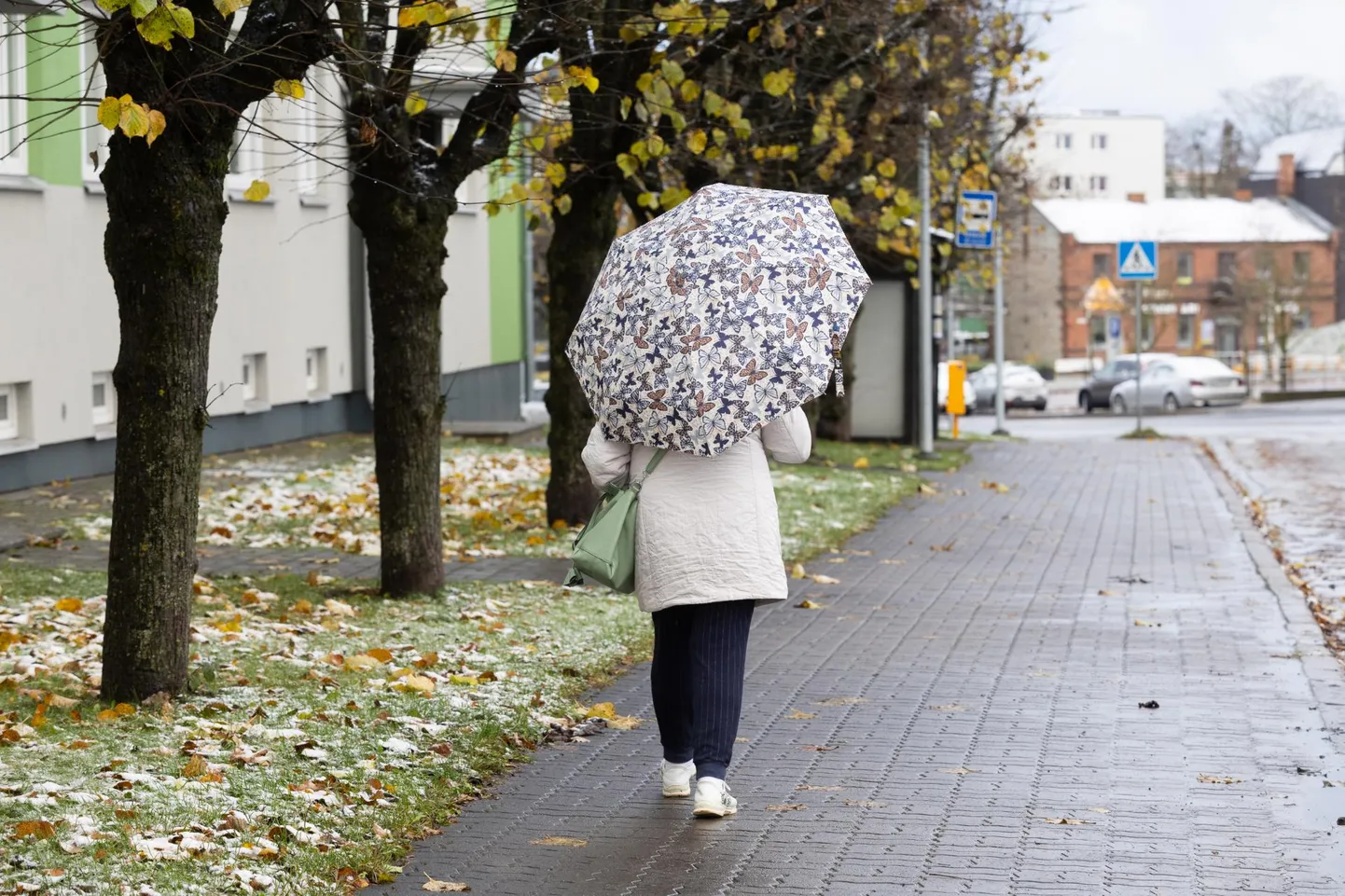 Talverõõmude nautimisega peab veel pisut ootama.