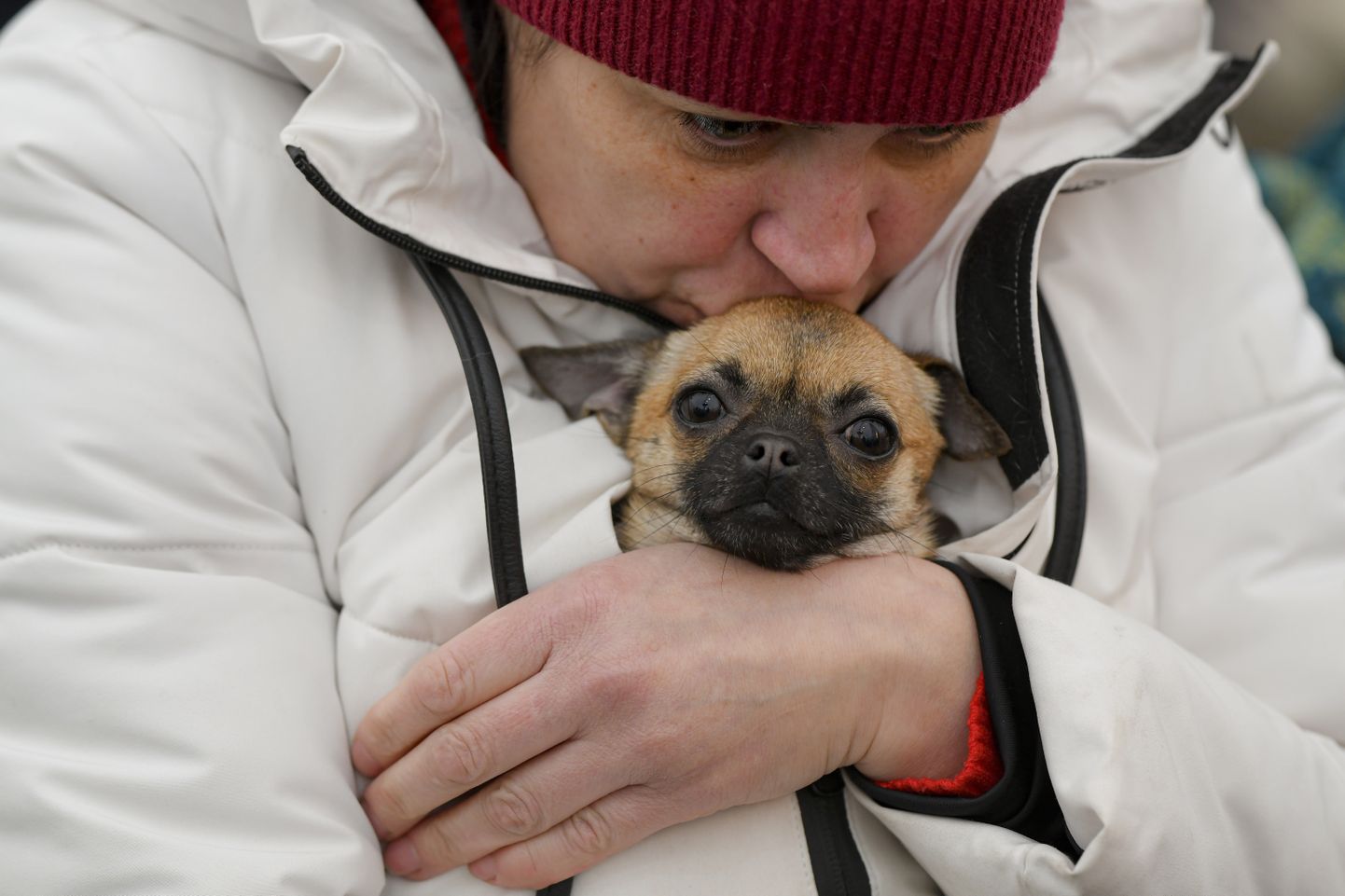 Ukraina sõjapõgenik lemmikloomaga.