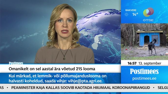 POSTIMEHE UUDISED ⟩ Omanikelt on sel aastal ära võetud 215 looma.