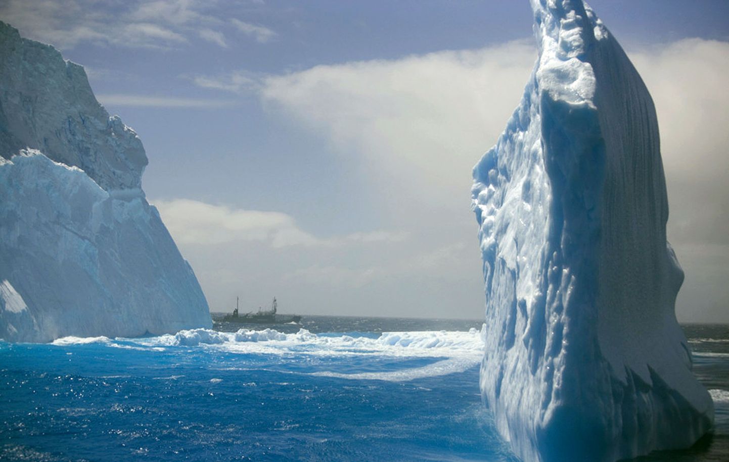Айсберги около Антарктиды.
