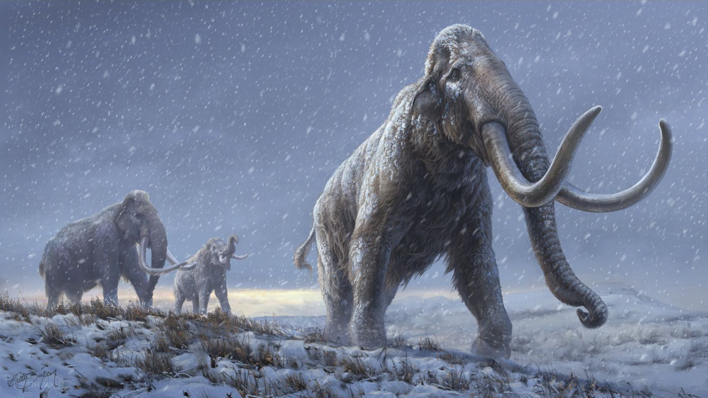 Esimesed Euroopas elavad inimesed võisid külmunud maastikul mammuteid küttida.