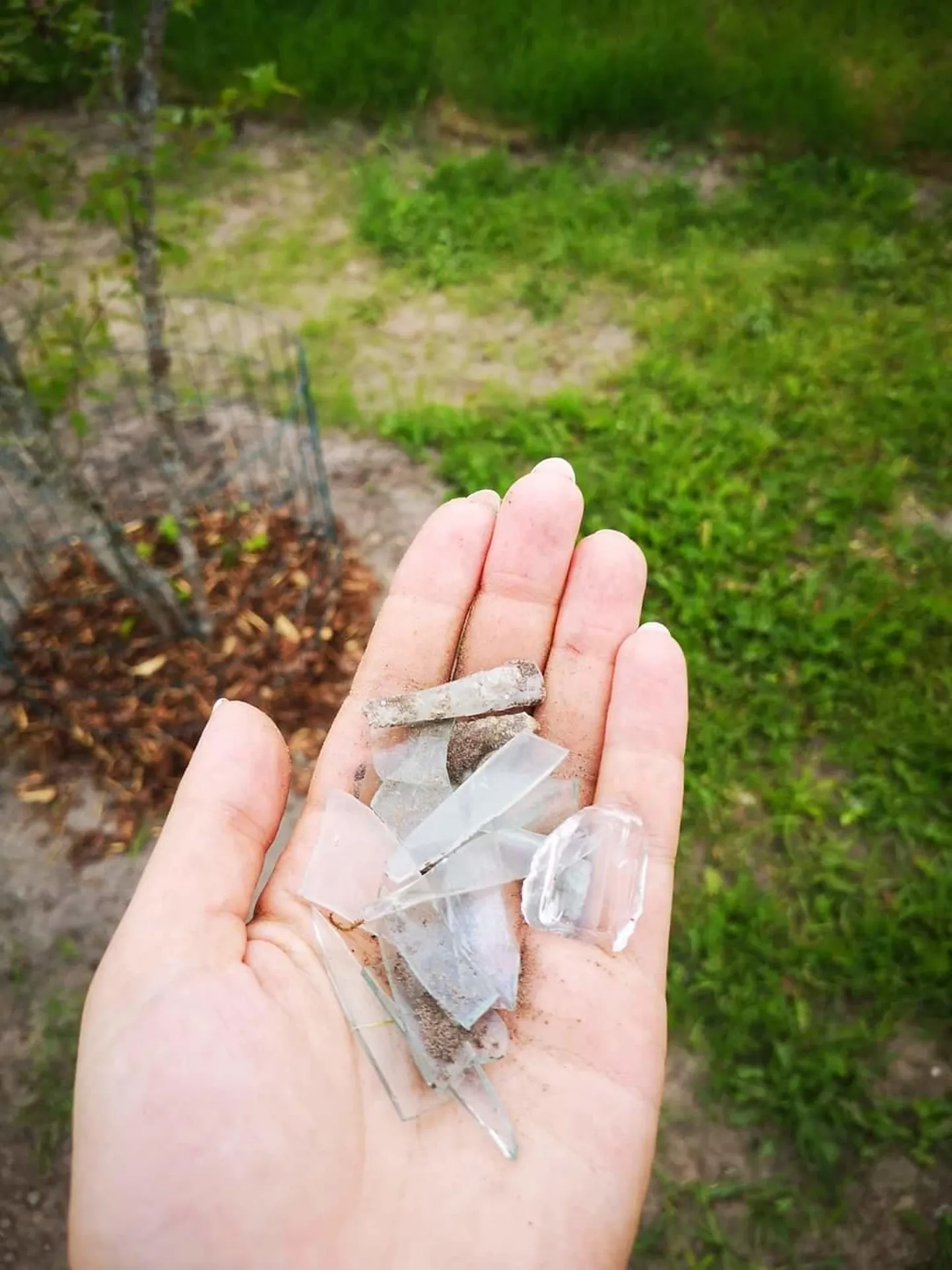 Pärnu koerteplatsilt leitud klaasikillud.