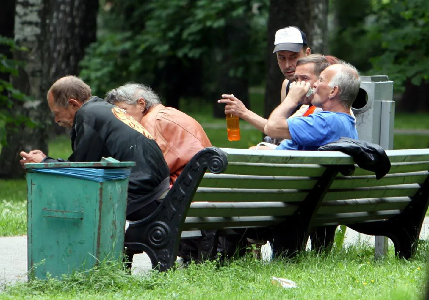 Päevast päeva näeb Vanas pargis toimetamas 40 ringis eluheidikut. Kümmekonnale neist on park ka koduks, sest nad ei saa mujale minemiseks kunagi piisavalt kaineks.