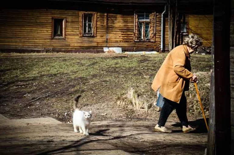 Фото статьи