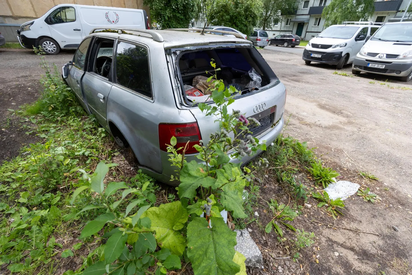Romud on Eestis suur probleem.