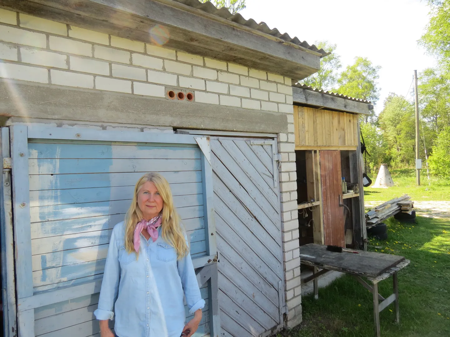 Moekunstnik ja Eesti Naise moetoimetaja Anne Metsis, uue moesõnaraamatu "Moetähestik" autor.