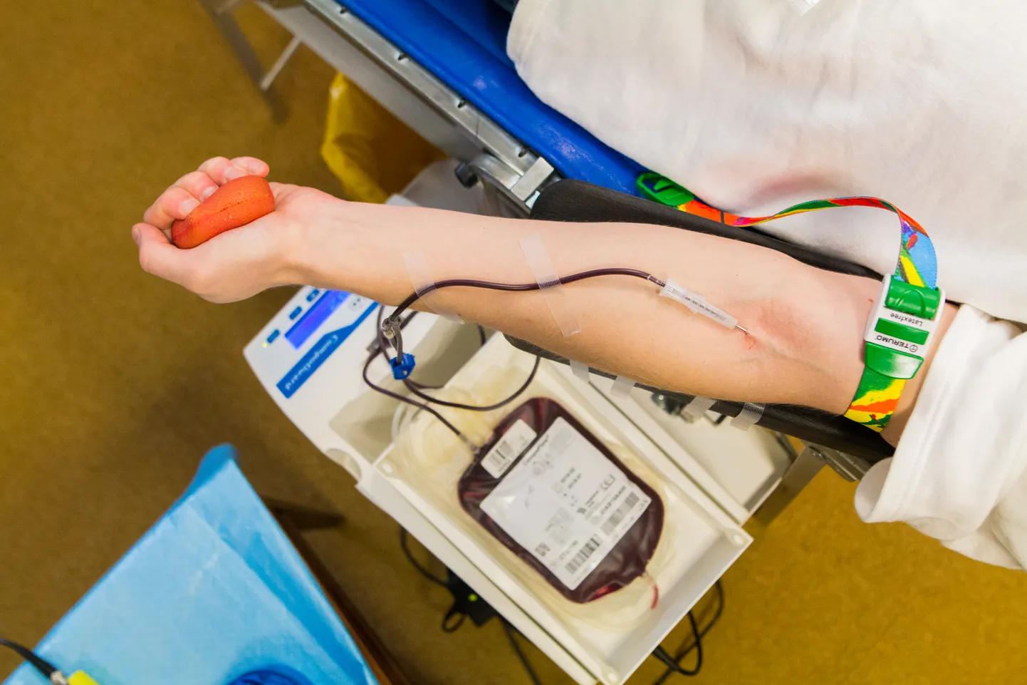 Doonorverest eraldatakse verekomponendid: punalibled, leukotsüüdid ja plasma.