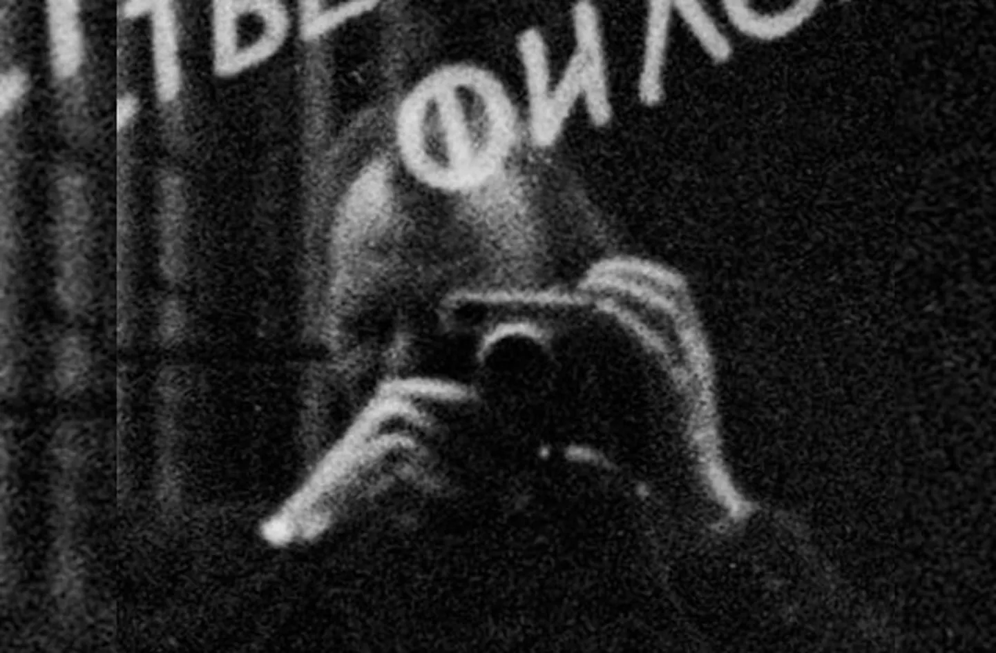 Raksta foto