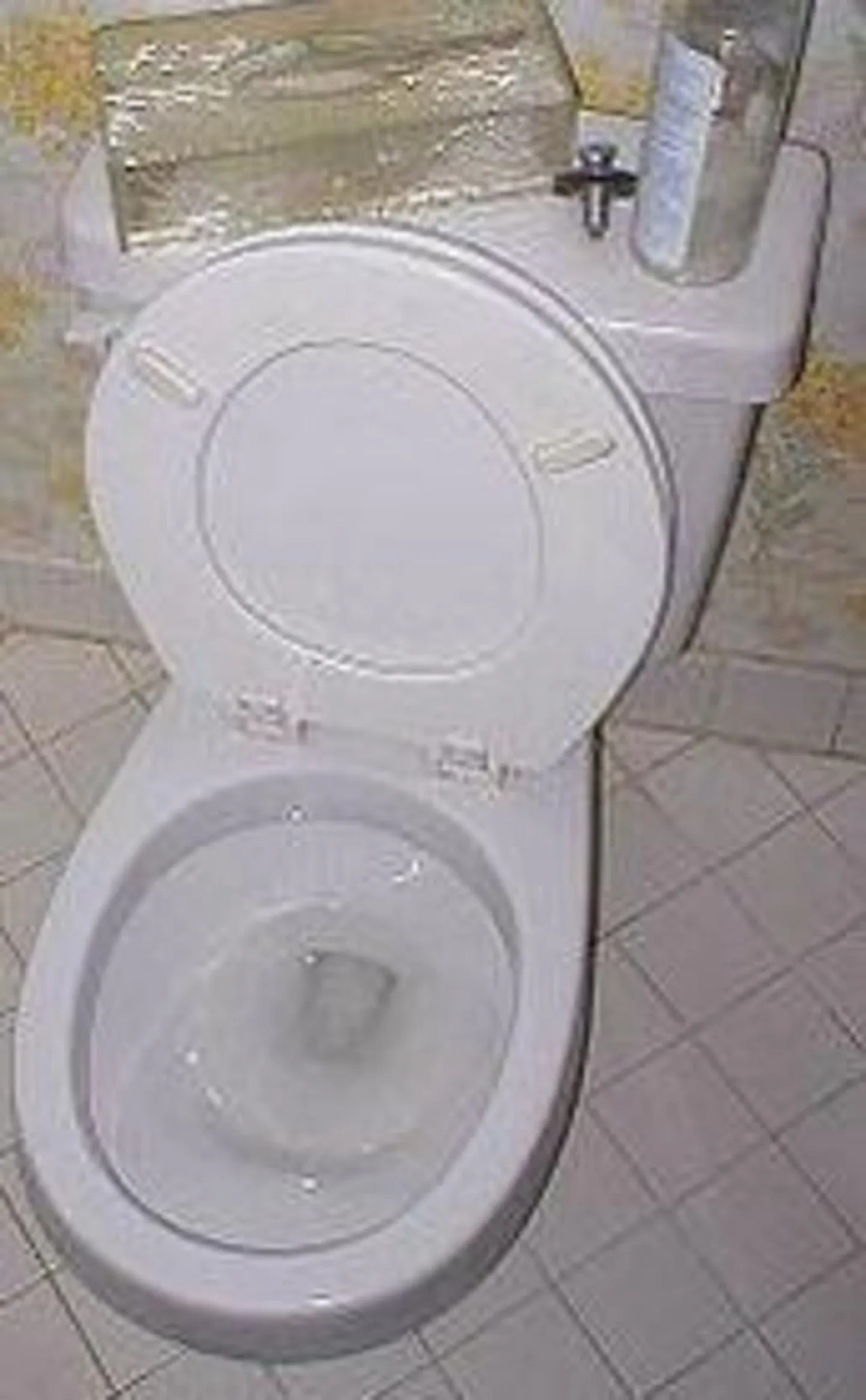 Rakveres joostakse koos WC-potiga.
