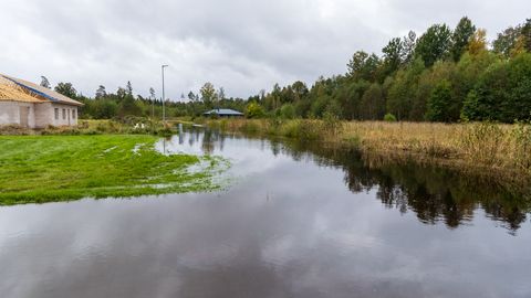 Üleujutus Seljametsa uusarenduses hakkas taanduma