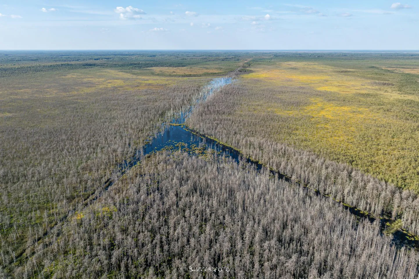 Droonifotod näitavad, et Öördi rabas on hektarite viisi puid kuivanud ja veega kaetud alad laienenud. See aga on oodatud tulemus, sest eesmärk ongi taastada soo, mis seal enam kui sada aastat tagasi veel laius.