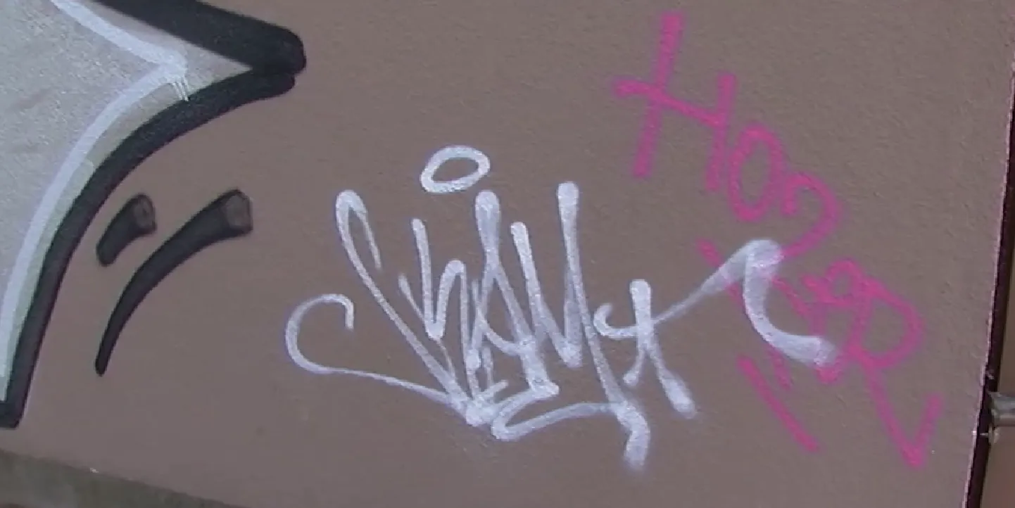 Soditud sein
