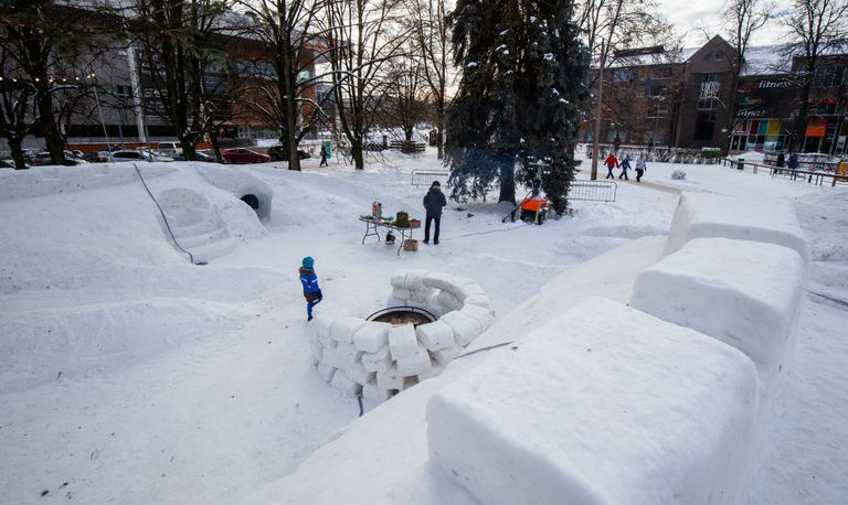 Aastal 2021 kerkis Tartu kesklinna parki lumelinn.