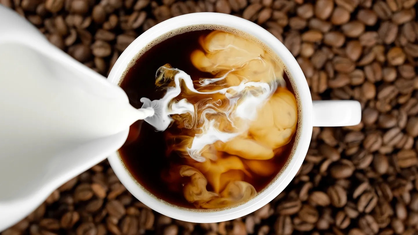Igapäevane kohvijoomine aitab vähendada Parkinsoni tõppe ja Alzheimerisse haigestumise tõenäosust.