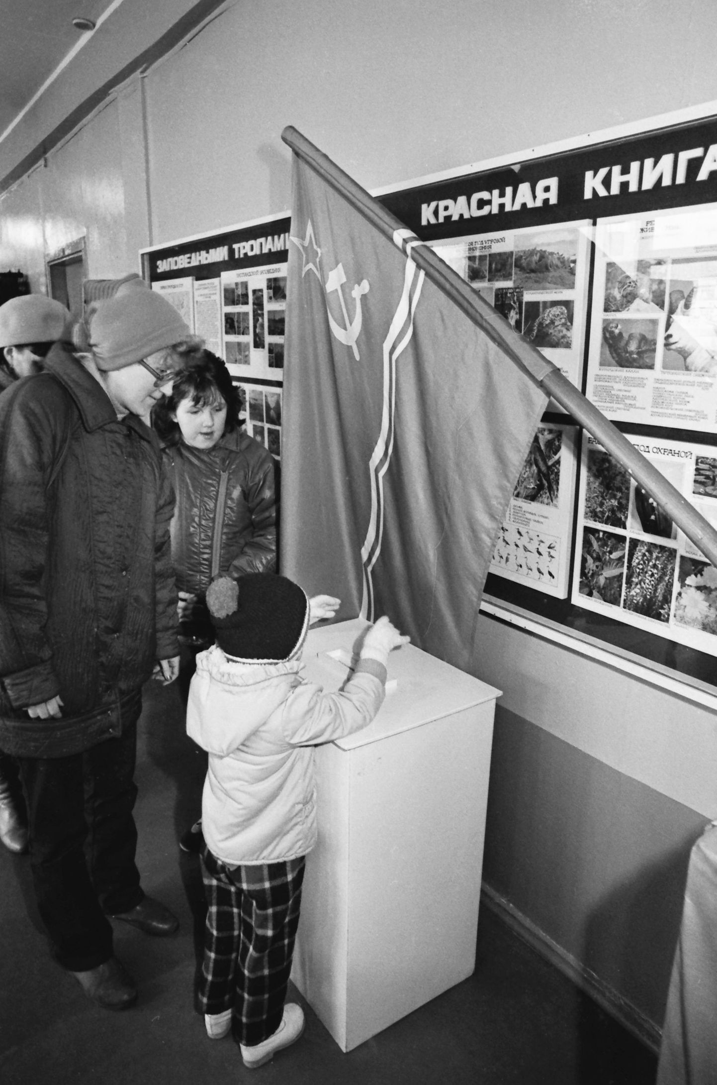 ENSV ülemnõukogu valimised 1990. aasta märtsis. Pilt on tehtud valimisjaoskonnas Tallinnas Õismäel.