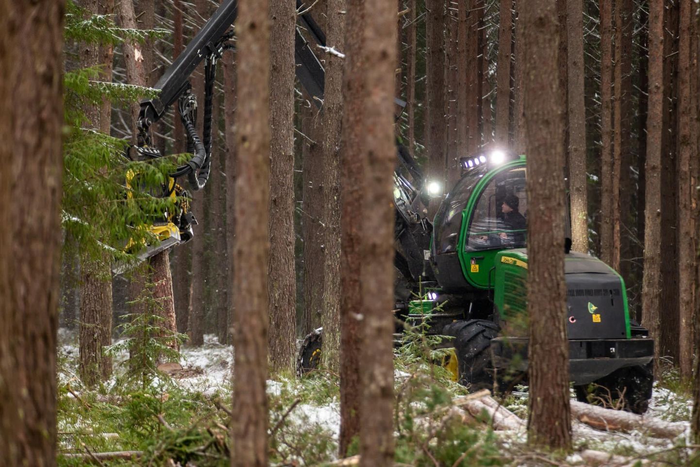Pärnu linnapiiril kadus männimetsast mitme tuhande euro väärtuses puitu.