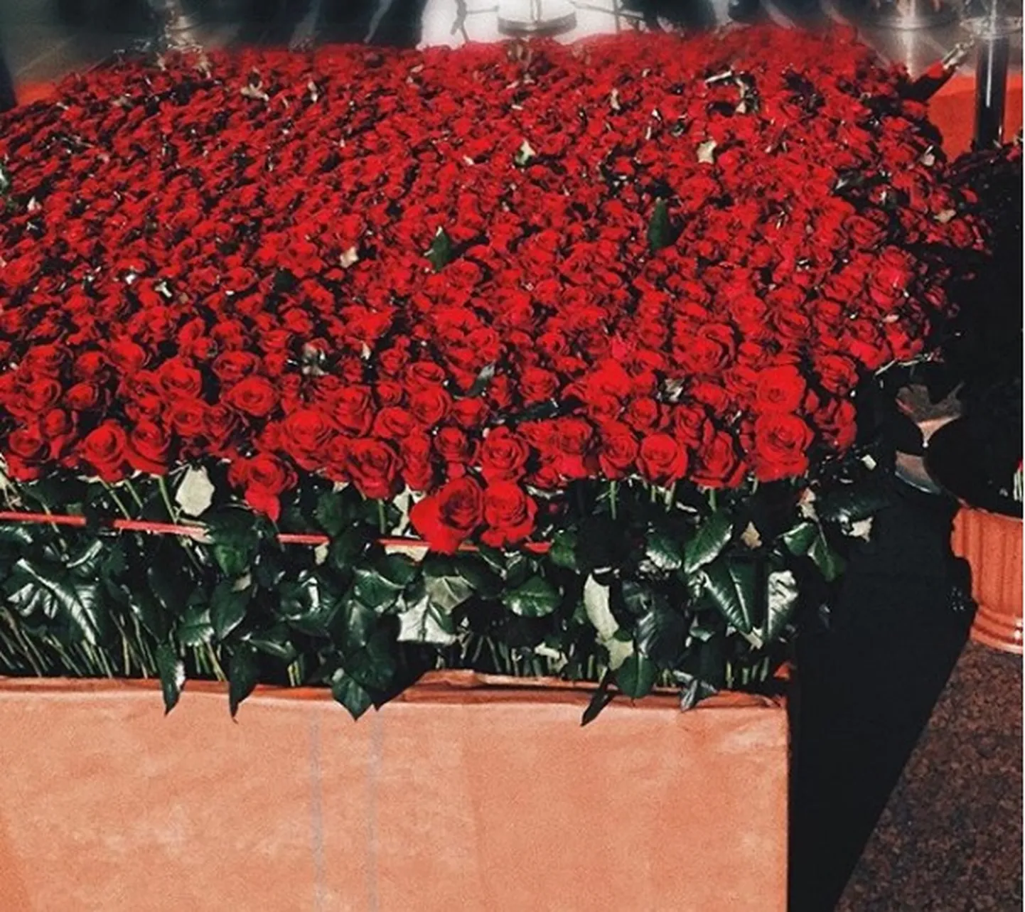 Фото статьи