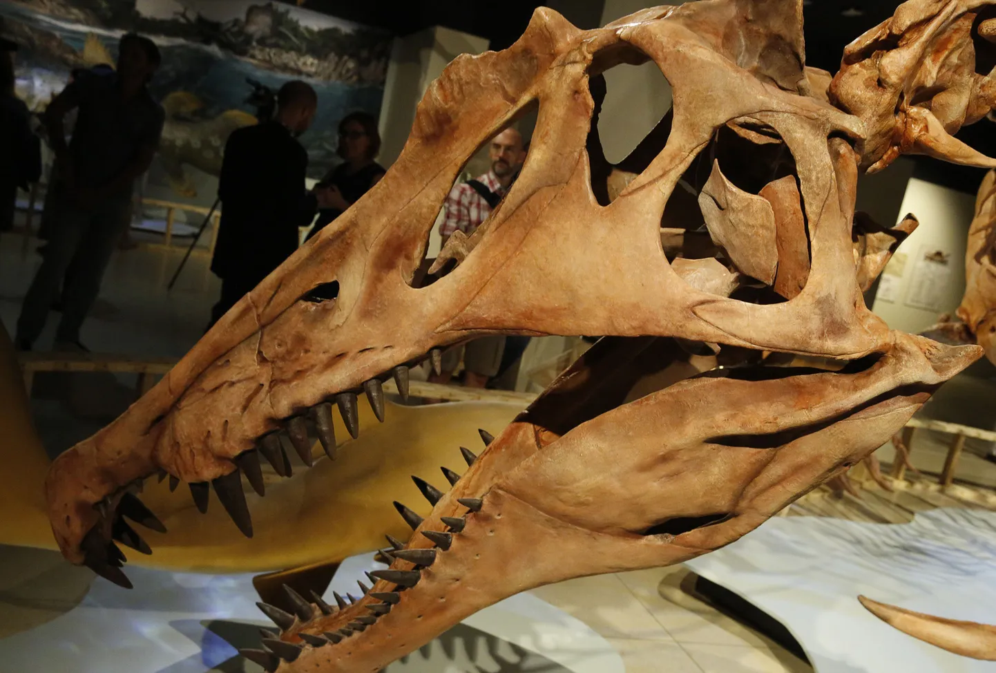 Spinosaurus aegyptiacus
