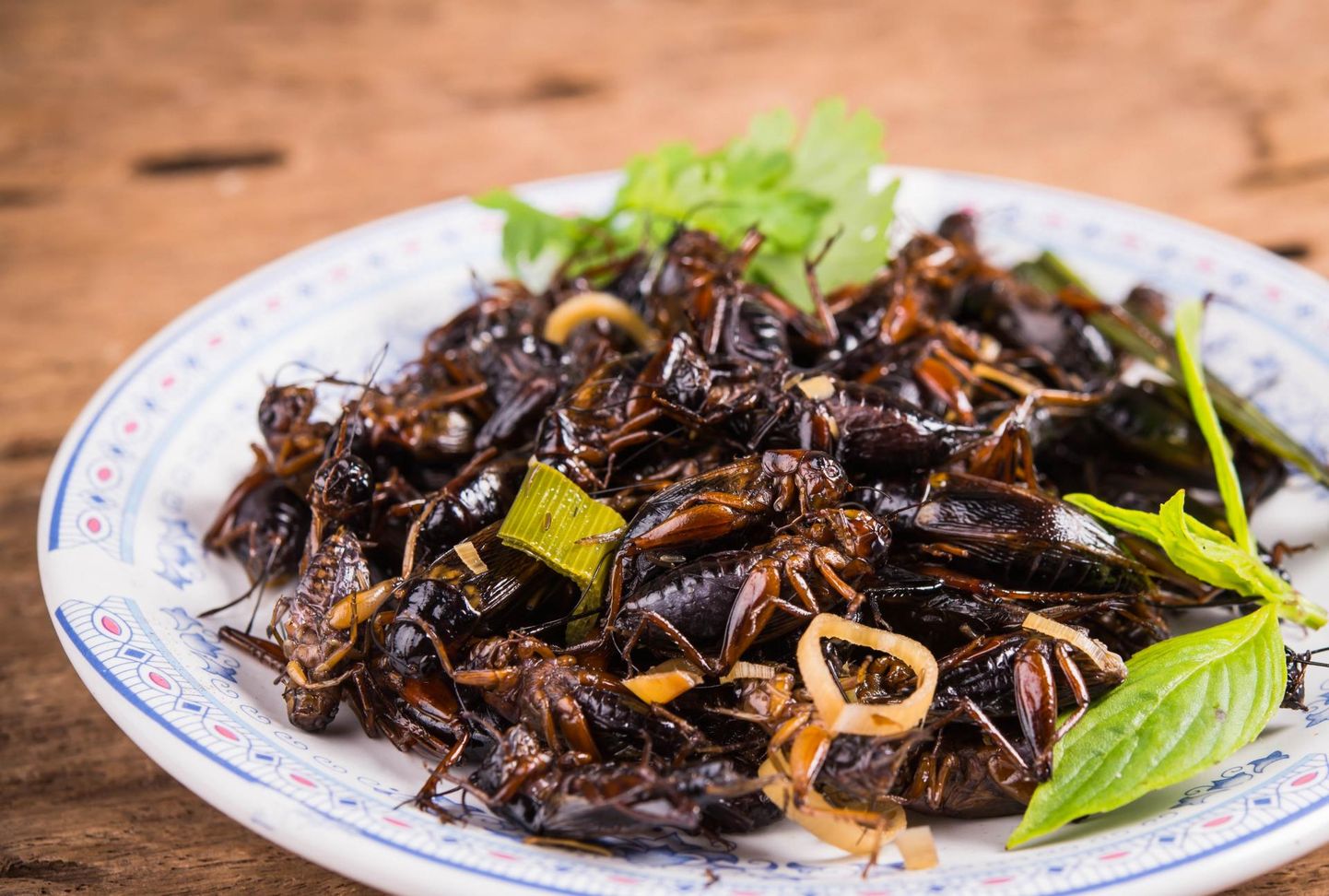 Hea valguallikana võivad putukad tulevikus kuuluda tervisliku toidu nimistusse.