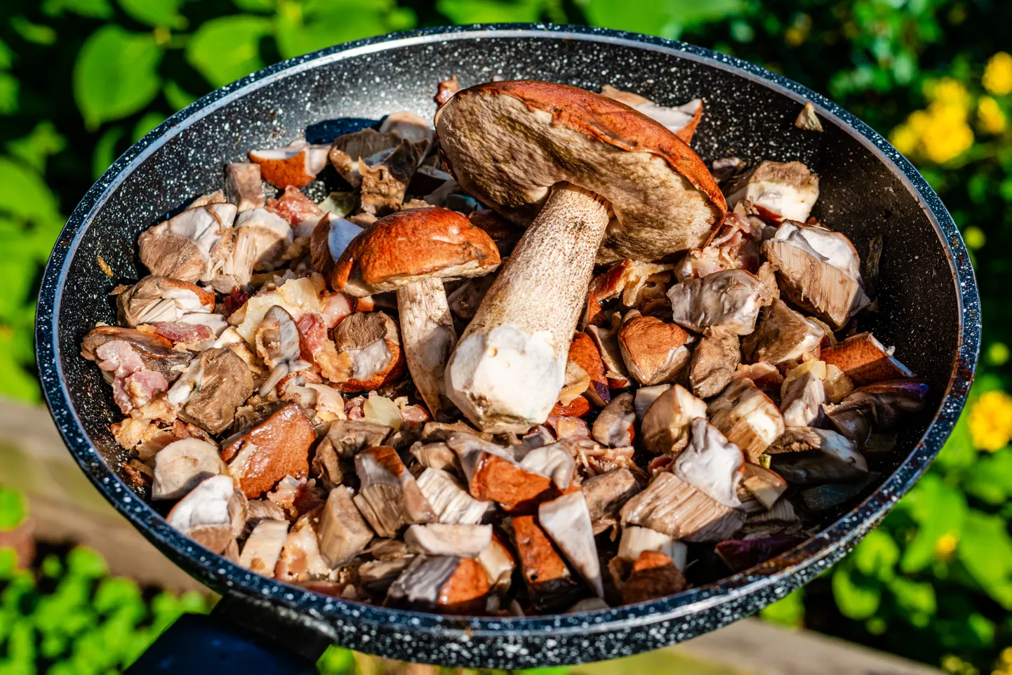 Raksta foto