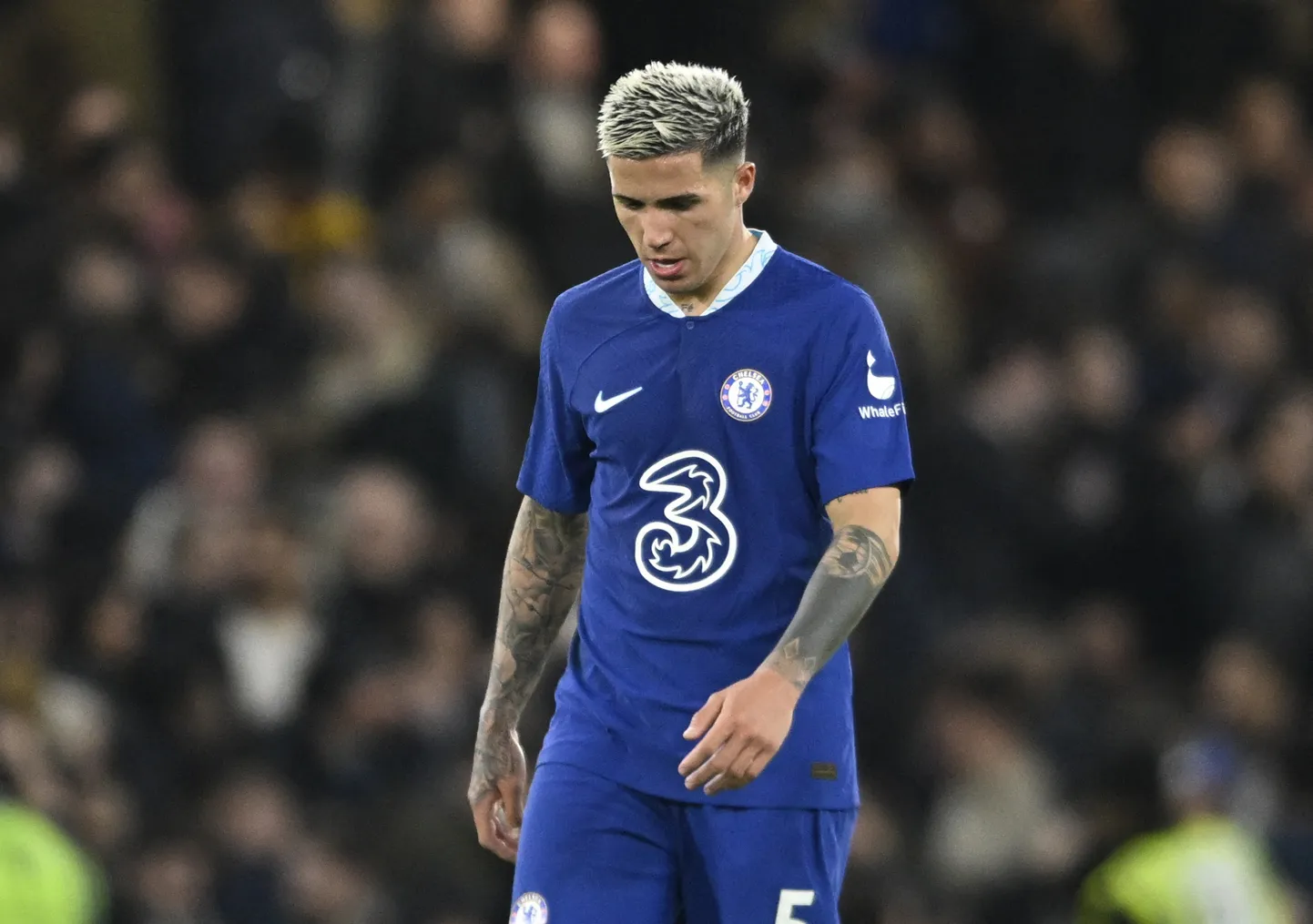Enzo Fernandez ei suutnud Chelseas teha loodetud tulemusega debüüti.